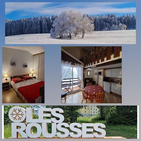 Le Duplex, Superbe Cocon Au Coeur Des Rousses, Tout Confort 5 Pers, Draps Inclus Ле-Русс Экстерьер фото