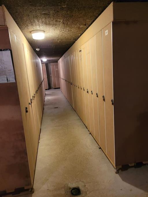 Le Duplex, Superbe Cocon Au Coeur Des Rousses, Tout Confort 5 Pers, Draps Inclus Ле-Русс Экстерьер фото