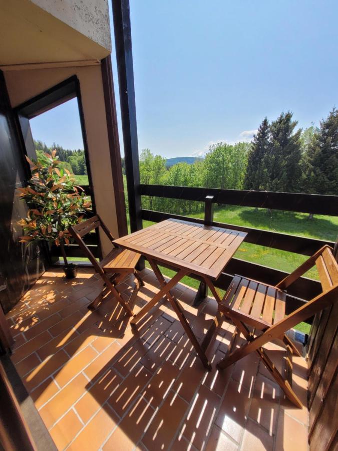 Le Duplex, Superbe Cocon Au Coeur Des Rousses, Tout Confort 5 Pers, Draps Inclus Ле-Русс Экстерьер фото
